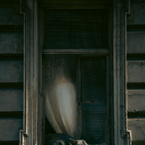 Photo #14027483