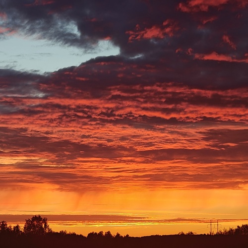Photo #14027500