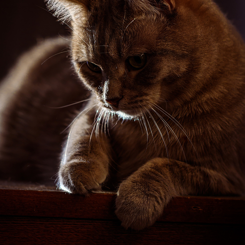 Photo #14027512
