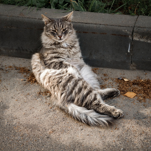 Photo #14027537