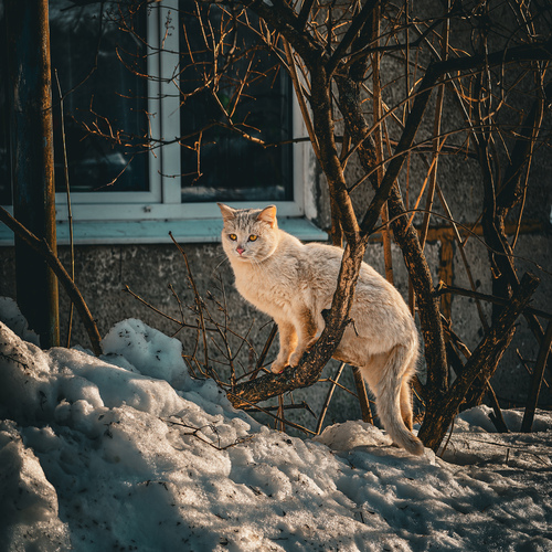 Photo #14027545