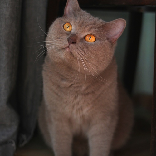 Photo #14027589