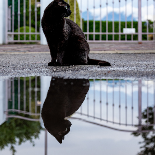 After the rain