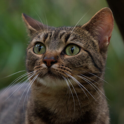 Photo #14027647