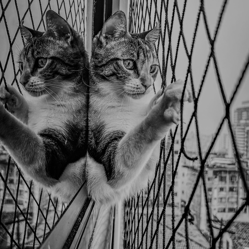 Фотография #14027677