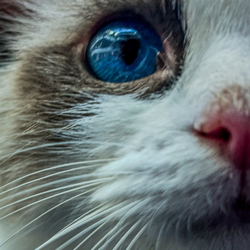 Фотография #14027685