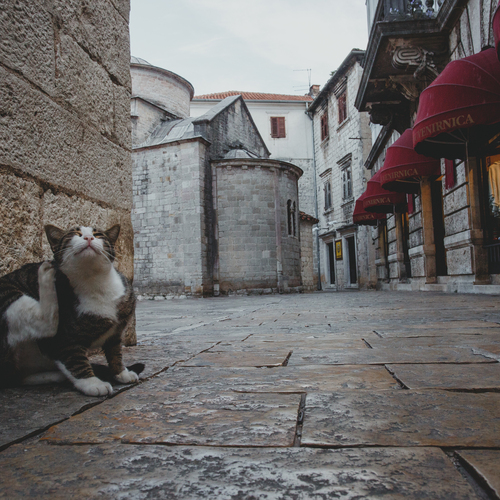 Photo #14027706