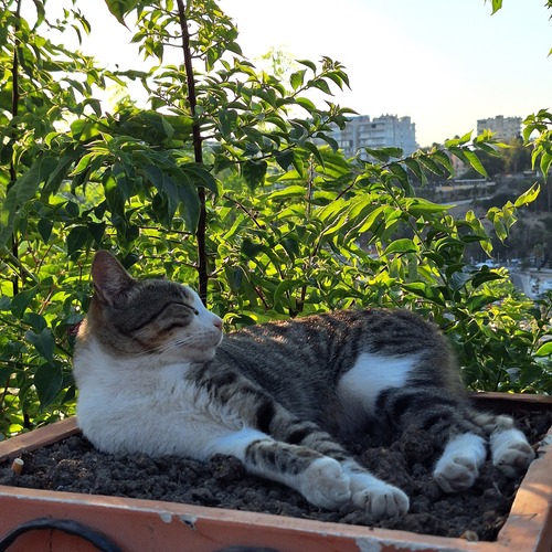 Photo #14027732