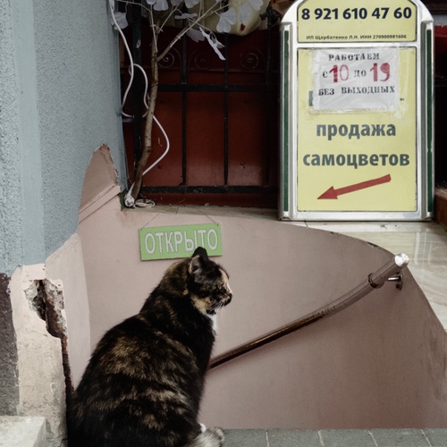 Photo #14027736