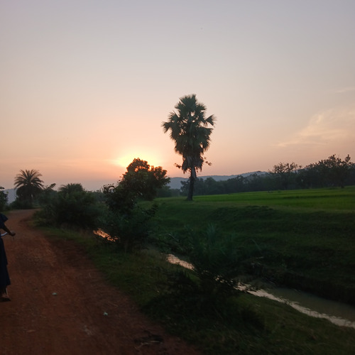 Photo #14027739