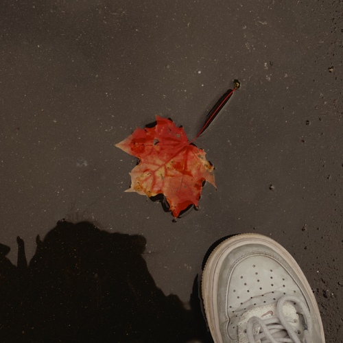 Photo #14027750