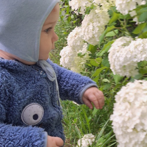 Photo #14027768