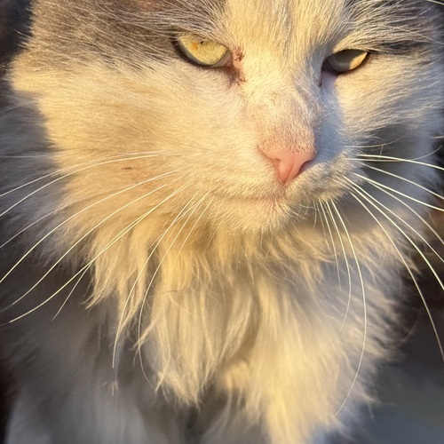 Photo #14027805