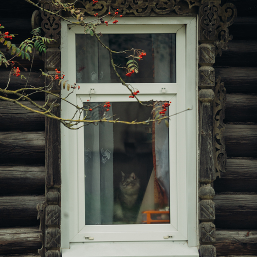 За окном