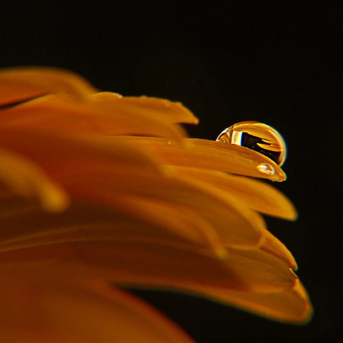 Photo #14027920