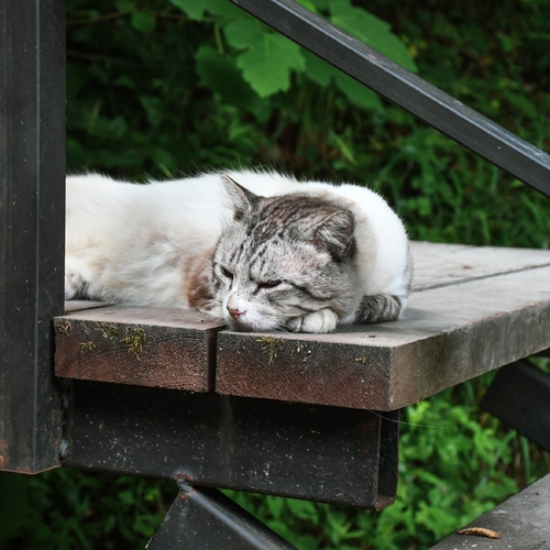 Photo #14027966