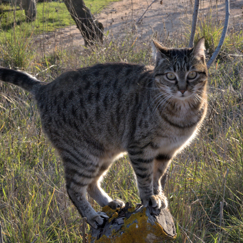 Photo #14027973