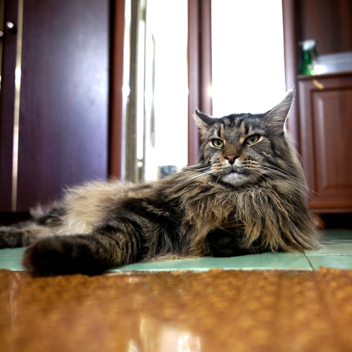 Photo #14027986
