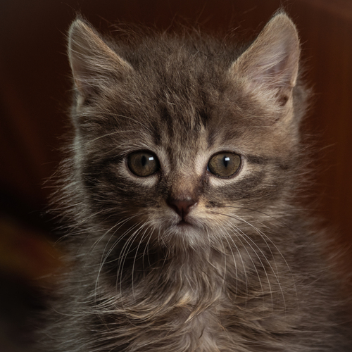 Photo #14027995