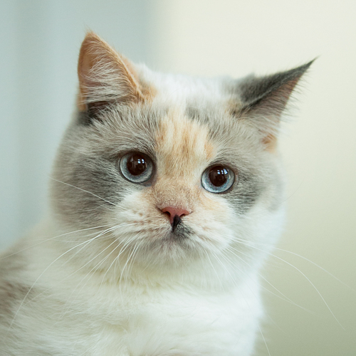 Photo #14028000