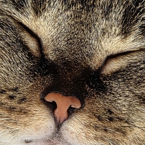Photo #14028039