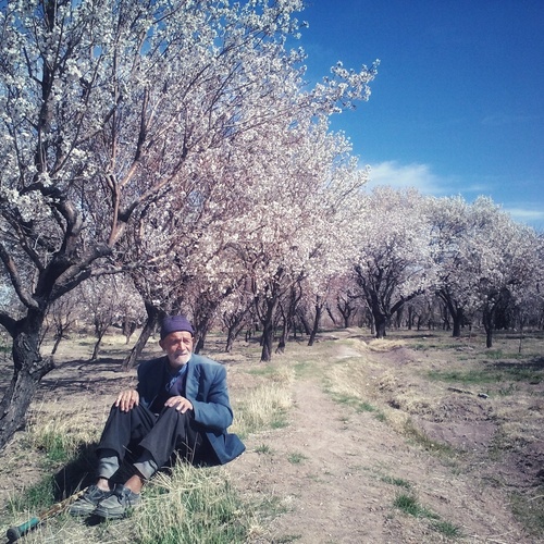 Photo #14028043