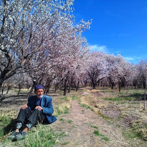 Photo #14028044