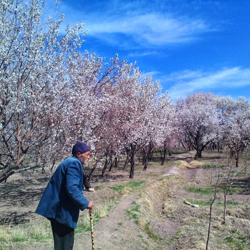 Photo #14028045