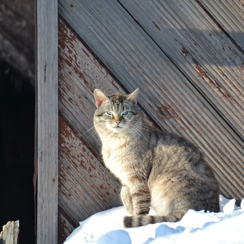 Photo #14028050
