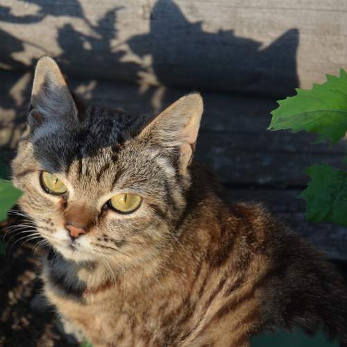 Photo #14028095
