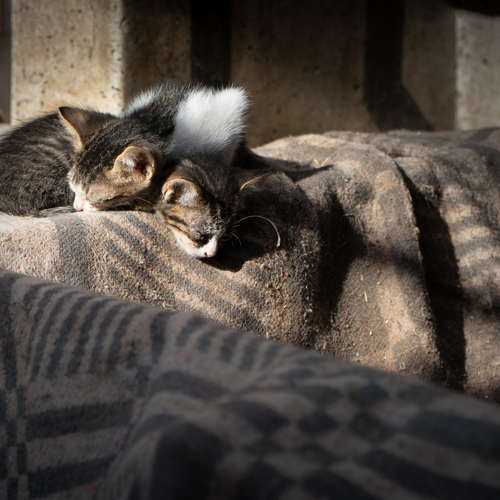 Photo #14028144
