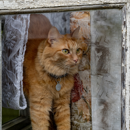 Photo #14028263