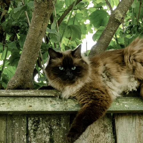 Photo #14028264