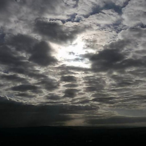 Photo #14028332