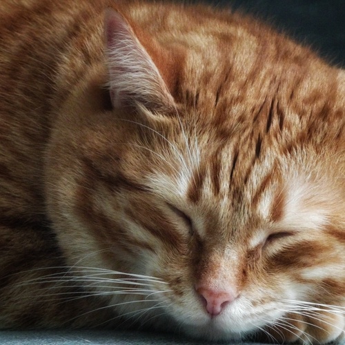Photo #14028349