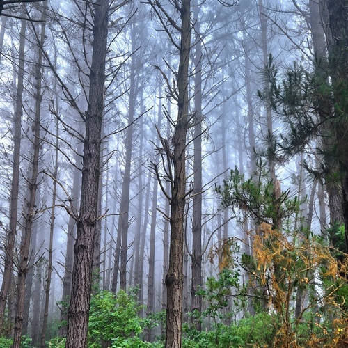 Photo #14028357