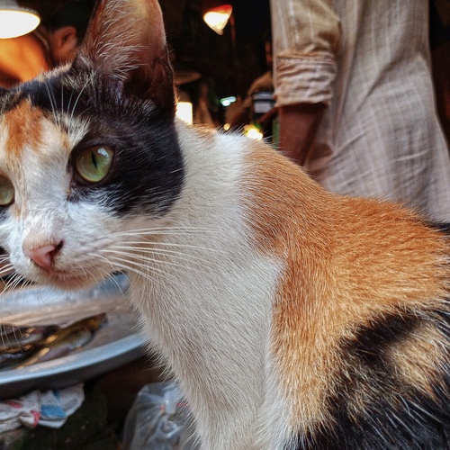 Photo #14028359