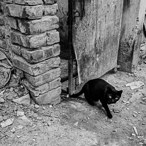 Photo #14028409