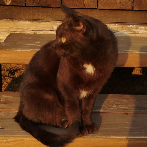 Photo #14028504