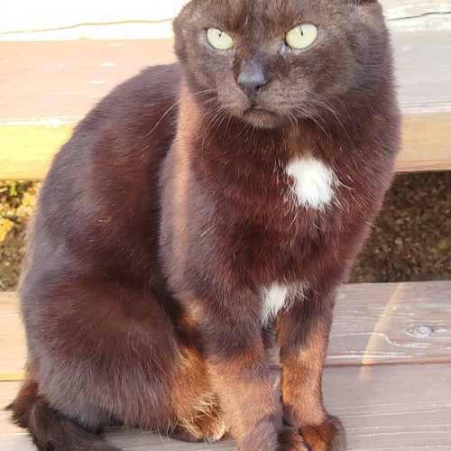 Photo #14028506