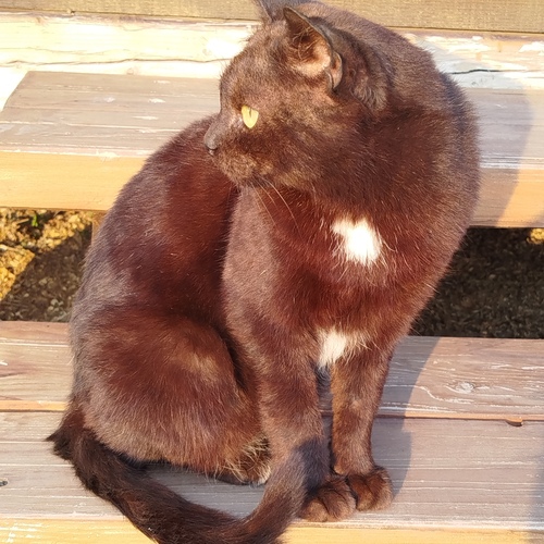 Photo #14028508