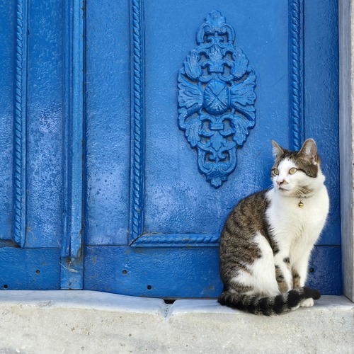 Photo #14028520