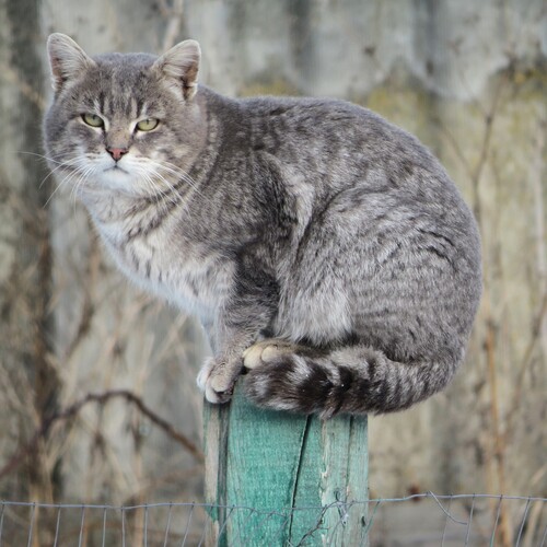 Photo #14028582