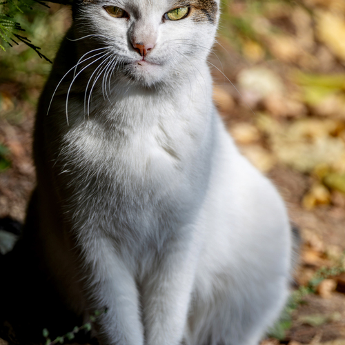Photo #14028593