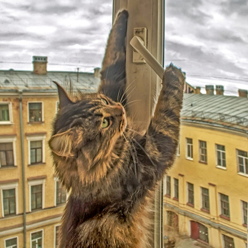 Photo #14028621