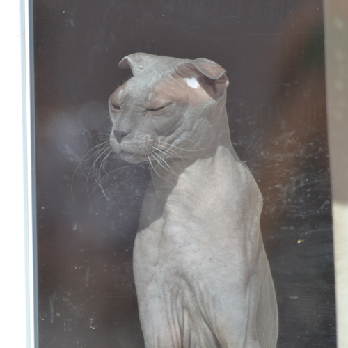 Photo #14028640