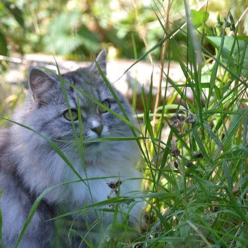 Photo #14028654