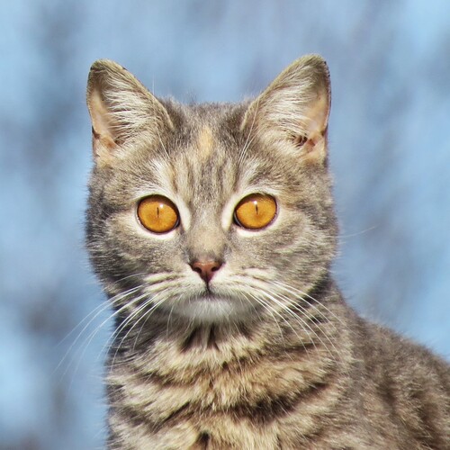 Photo #14028666