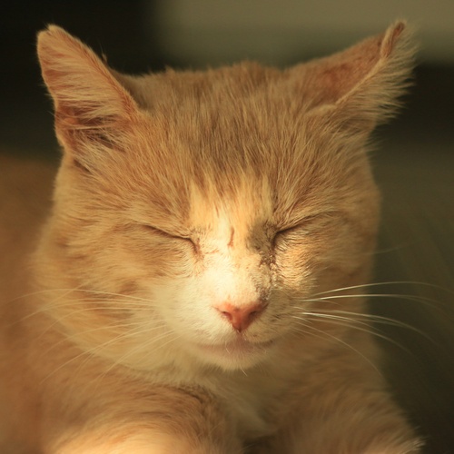 Photo #14028699