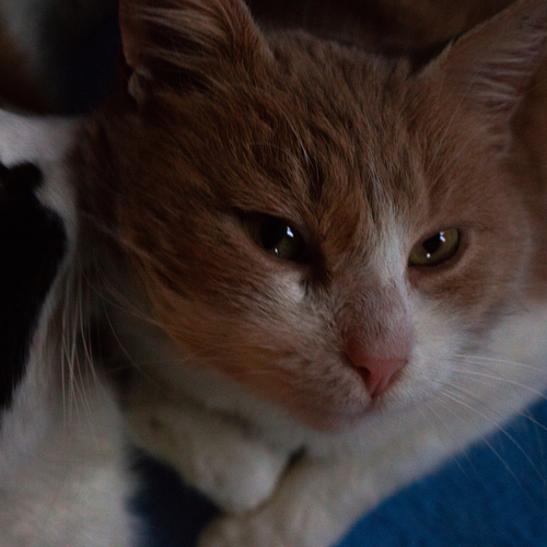 Photo #14028784